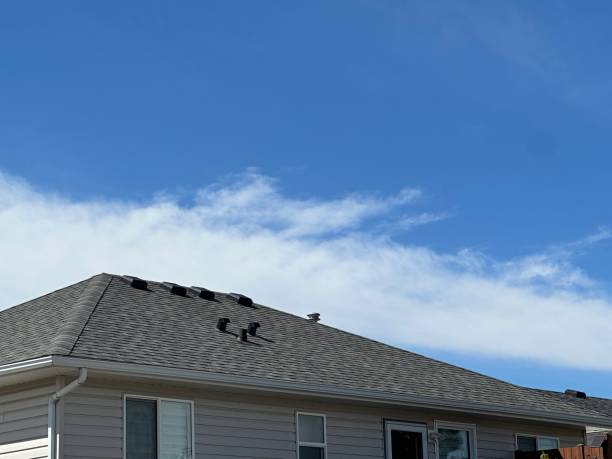 Best Storm Damage Roof Repair  in Triangle, VA